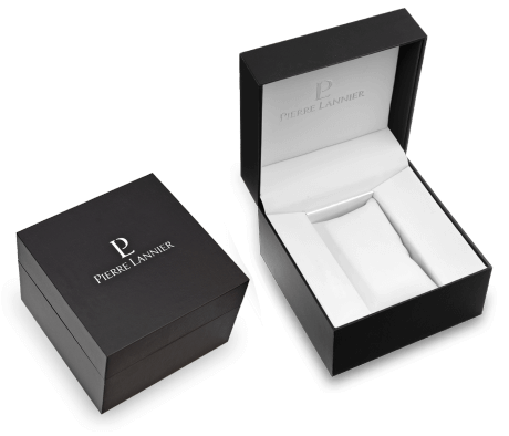 Montre PIERRE LANNIER Homme Automatic en Acier 317B131